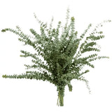 Load image into Gallery viewer, EUCALYPTUS BABY BLUE - bloombybunches