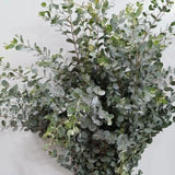 Load image into Gallery viewer, EUCALYPTUS PARVIFOLIA - bloombybunches