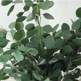 Load image into Gallery viewer, EUCALYPTUS SILVER DOLLAR - bloombybunches