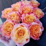 Load image into Gallery viewer, FREE SPIRIT ORANGE ROSE - Orange / 25 - Fresh Cut Flowers