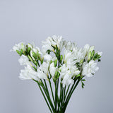 Load image into Gallery viewer, White Freesia Flower bouquet with 10 stems featuring delicate bell-shaped blooms on long green stems against a gray background