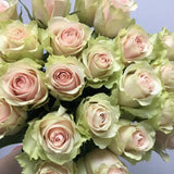 Load image into Gallery viewer, ROSE FRUTTETO LIGHT PINK 50CM - bloombybunches