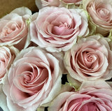 Load image into Gallery viewer, ROSE FRUTTETO LIGHT PINK 50CM - bloombybunches