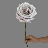 Load image into Gallery viewer, GARDEN ROSE MENTA - bloombybunches