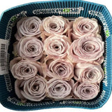 Load image into Gallery viewer, GARDEN ROSE MENTA - bloombybunches