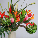 Load image into Gallery viewer, Ginger - Pink