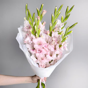 Bouquet of 10 pink gladiolus stems with delicate blooms and green buds wrapped in white paper