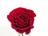 Load image into Gallery viewer, ROSE HEART RED ROSES 50CM - bloombybunches