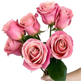 Load image into Gallery viewer, ROSE HERMOSA LIGHT PINK 50CM - bloombybunches
