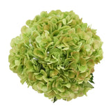 Load image into Gallery viewer, Close up of Hydrangeas jumbo Antique Green - Large blooms, perfect for weddings and events (BloombyBunches.ca)