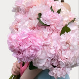 Load image into Gallery viewer, HYDRANGEA NATURAL PINK - Fresh Cut Flowers
