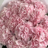 Load image into Gallery viewer, HYDRANGEA NATURAL PINK - Fresh Cut Flowers