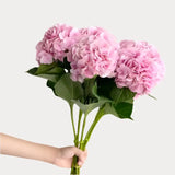 Load image into Gallery viewer, Pink Hydrangeas - Large blooms, perfect for weddings and events (BloombyBunches.ca)