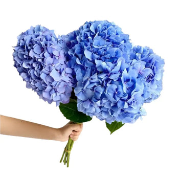 Shocking Blue Hydrangeas - Large blooms, perfect for weddings and events (BloombyBunches.ca)