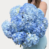 Load image into Gallery viewer, HYDRANGEAS NATURAL BLUE - Fresh Cut Flowers