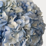 Load image into Gallery viewer, HYDRANGEAS NATURAL BLUE - Fresh Cut Flowers