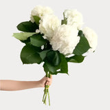 Load image into Gallery viewer, White Hydrangeas - Large blooms, perfect for weddings and events (BloombyBunches.ca)
