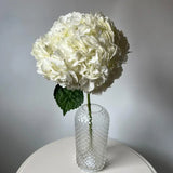 Load image into Gallery viewer, HYDRANGEAS NATURAL WHITE - Fresh Cut Flowers