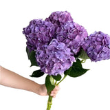 Load image into Gallery viewer, White Hydrangeas - Large blooms, perfect for weddings and events (BloombyBunches.ca)