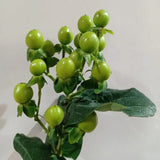 Load image into Gallery viewer, HYPERICUM BERRIES GREEN- DIY Wedding &amp; Events Flowers - Green / 50CM / 10 - Fresh Cut Flowers