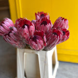 Load image into Gallery viewer, Protea Pink Ice