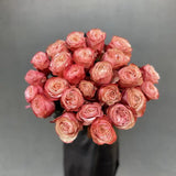 Load image into Gallery viewer, KAHALA BROWN GARDEN ROSE - Brown / 25 - Fresh Cut Flowers