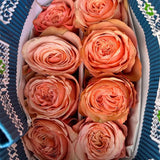 Load image into Gallery viewer, ROSE KAHALA PEACH 50CM - bloombybunches
