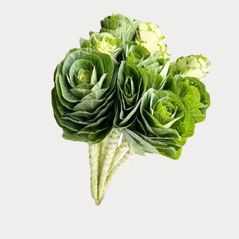Green Kale bouquet -bloombybunches.ca