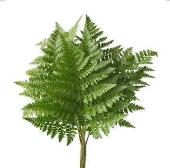 Leather Leaf - Green / 1 - Greenery