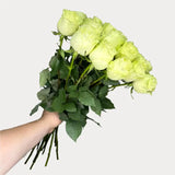 Load image into Gallery viewer, LEMONADE GREEN ROSE - Green / 50CM / 25 - Fresh Cut Flowers