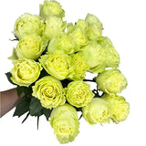 Load image into Gallery viewer, LEMONADE GREEN ROSE - Green / 50CM / 25 - Fresh Cut Flowers