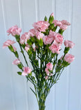 Load image into Gallery viewer, MINI CARNATIONS