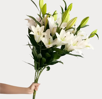 LILY ORIENTAL LIGHT PINK - bloombybunches