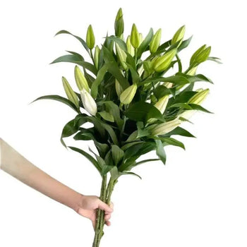 Lilly Oriental White Bouquet- bloombybunches