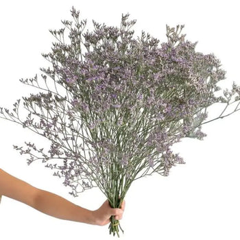 Bunch of Limonium Blue Main Filler Flowers (BloombyBunches.ca)