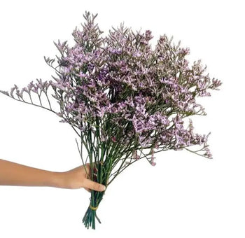 Bunch of Limonium Lavender Filler Flowers (BloombyBunches.ca)