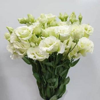 Green Lisianthus Arrangement - Elegant Centerpiece for Weddings (BloombyBunches.ca)