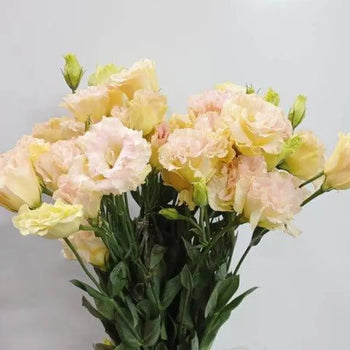 Peach Lisianthus Arrangement - Elegant Centerpiece for Weddings (BloombyBunches.ca)