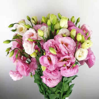 Pink Lisianthus Arrangement - Elegant Centerpiece for Weddings (BloombyBunches.ca)