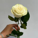Load image into Gallery viewer, MONDIAL WHITE ROSE - White / 50CM / 25 - Flowers
