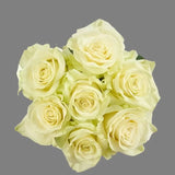 Load image into Gallery viewer, ROSE MONDIAL WHITE 50CM - bloombybunches