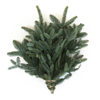 NOBLE FIR