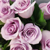 Load image into Gallery viewer, OCEAN SONG LAVENDER ROSE - Lavender / 60CM / 25 - Fresh Cut Flowers