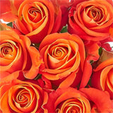 Load image into Gallery viewer, ROSE ORANGE CRUSH 50CM - bloombybunches