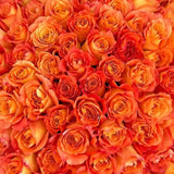 Load image into Gallery viewer, ORANGE ROSES - bloombybunches