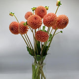 Load image into Gallery viewer, Dahlias Peach