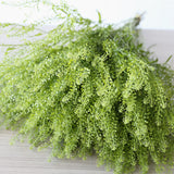 Load image into Gallery viewer, PENNYCRESS
