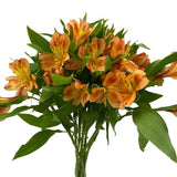 Load image into Gallery viewer, Orange Peruvian Lily (Alstroemeria) Bouquet - bloombybunches.ca