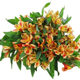 Load image into Gallery viewer, Orange Peruvian Lily (Alstroemeria)-bloombybunches.ca