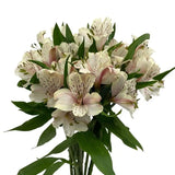 Load image into Gallery viewer, White Peruvian Lily (Alstroemeria) Bouquet - bloombybunches.ca
